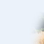 Keratoconus